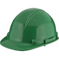 Dynamic Whistler Hardhat, CSA Type 1, Pinlock Suspension Fastek