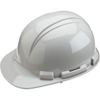 Dynamic Whistler Hardhat, CSA Type 1, Pinlock Suspension Fastek