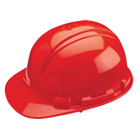 Dynamic Whistler Hardhat, CSA Type 1, Ratchet Suspension Fastek
