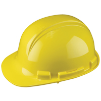 Dynamic Whistler Hardhat, CSA Type 1, Pinlock Suspension Fastek