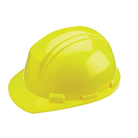 Dynamic Mont-Blanc Hardhat, CSA Type 2, Ratchet Suspension Fastek