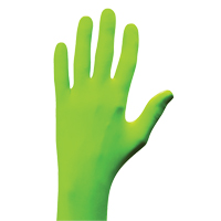 N-Dex&reg; Gloves, Small, Nitrile, 5-mil, Powder-Free, Green Fastek