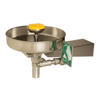 Eye/Face Wash Station, Wall-Mount Installation, Stainless Steel Bowl Fastek