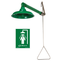 Drench Shower, Wall-Mount Fastek