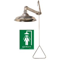 All Stainless Steel Drench Shower, Wall-Mount Fastek