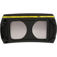 Speedglas Cartridge, P100 Filter, Pack of 1 Fastek