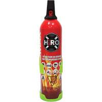 Fire Extinguisher, ABC/K, 2 lbs. Capacity SGC461 | Fastek