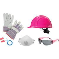 Ladies' Worker PPE Starter Kit SGH559 | Fastek