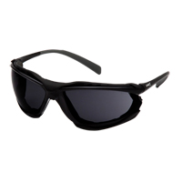 Proximity Safety Glasses, Grey/Smoke Lens, Anti-Fog Coating, ANSI Z87+/CSA Z94.3 SGI170 | Fastek