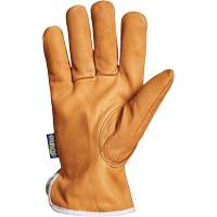 Gants de conducteur Endura, Petit, Paume en Cuir fleur de ch&egrave;vre, Thinsulate Fastek