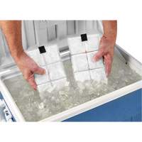 Sachets pour veste de refroidissement &agrave; changement de phase 6260 Chill-Its Fastek