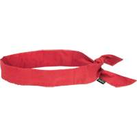 Cooling Bandana, Red Fastek