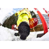 Heavy-Duty Traction Aid, Tungsten Carbide, Stud Traction, Small Fastek