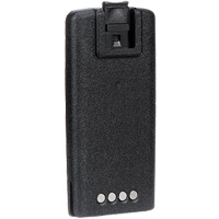 Batterie radio d'affaires bidirectionnelle haute capacit&eacute; Fastek