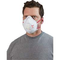 Disposable Respirator with Gasket, N95, NIOSH Certified, One Size SGY619 | Fastek