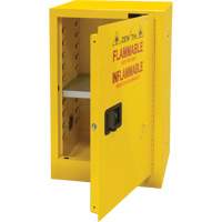 Flammable Storage Cabinet, 12 gal., 1 Door, 23" W x 35" H x 18" D Fastek