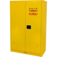 Flammable Storage Cabinet, 45 gal., 2 Door, 43" W x 65" H x 18" D SGU466 | Fastek