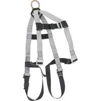 Fall Arrest Harnesses