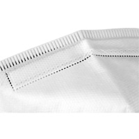 Respirateur jetable, N95, Certifi&eacute; NIOSH, Taille unique Fastek