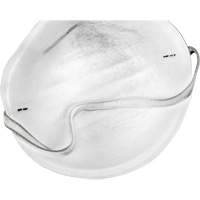 Disposable Nuisance Dust Mask Fastek