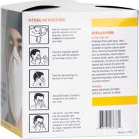Disposable Nuisance Dust Mask Fastek
