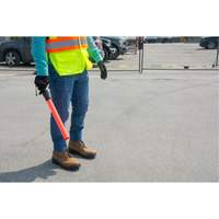 Safety Baton Light Fastek