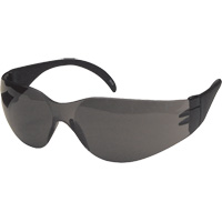 CeeTec™ Safety Glasses, Grey Lens, Anti-Fog/Anti-Scratch Coating, CSA Z94.3 SGX103 | Fastek