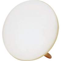 Jumbo Therapy Light for Seasonal Affective Disorder Fastek