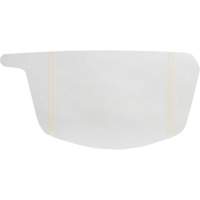 Primair&reg; 900 Series Peel-Off Visor Cover Fastek