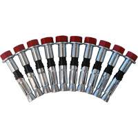 Jeu de boulons de rechange pour ancrages &agrave; anneau en D pour b&eacute;ton, Boulonn&eacute;, Usage Permanent/Temporaire Fastek