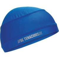 Chill-Its 6632 Cooling Skull Cap, Blue Fastek