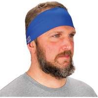 Chill-Its 6634 Cooling Headband, Blue Fastek