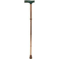 Folding Cane Fastek