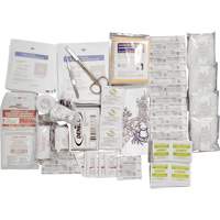 Shield™ Basic First Aid Kit Refill, CSA Type 2 Low-Risk Environment, Small (2-25 Workers) SHJ863 | Fastek