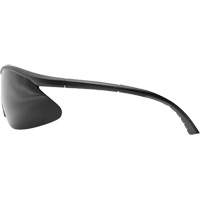 Banraj Safety Glasses, Smoke Lens, Anti-Scratch Coating, ANSI Z87+/CSA Z94.3/MCEPS GL-PD 10-12 SHJ963 | Fastek