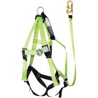 FBH-10000A6440-4 4' Class A Harness & Lanyard with 350 lbs. Capacity, Harness/Lanyard Combo Fastek