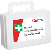 Dynamic First Aid Kit, Meets/Exceeds CSA Z1220-24 Type 2 Low-Risk Environment, Large (51-100 Workers) Fastek