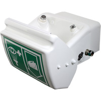 Eye/Face Wash, Wall-Mount Installation, Plastic Bowl Fastek