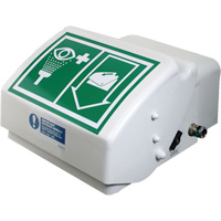 Eye/Face Wash, Wall-Mount Installation, Plastic Bowl Fastek