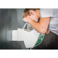 Eye/Face Wash, Wall-Mount Installation, Plastic Bowl Fastek