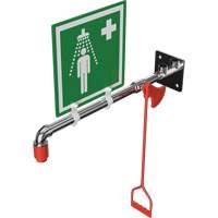 Drench Shower, Wall-Mount Fastek