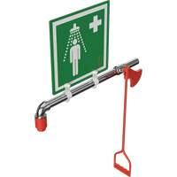 Drench Shower, Water Ring Main Mount Fastek