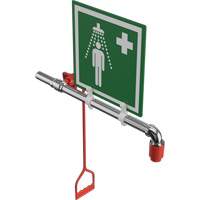 Drench Shower, Water Ring Main Mount Fastek