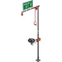 Combination Shower with Open Stainless Steel Bowl & Top Inlet, Pedestal Fastek