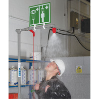 Combination Shower with Closed ABS Bowl & Top Inlet, Pedestal Fastek