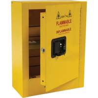 Mini Flammable Safety Cabinet, 2 Gal., 1 Door, 17" W x 22" H x 8" D Fastek