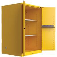 Utili-Guard+ Flammable Safety Cabinet, 45 gal., 2 Door, 43" W x 65" H x 22" D Fastek