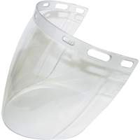 Visi&egrave;re 2CL, Polycarbonate, Teinte Transparent Fastek