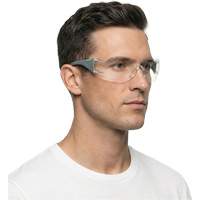Adapt Lite Grey/Green Safety Glasses, Clear Lens, Anti-Fog/Anti-Scratch, ANSI Z87+/Meets/Exceeds CSA Z94.3 Fastek