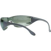 Adapt Lite Safety Glasses, Indoor/Outdoor Lens, Anti-Fog/Anti-Scratch, ANSI Z87+/Meets/Exceeds CSA Z94.3 Fastek